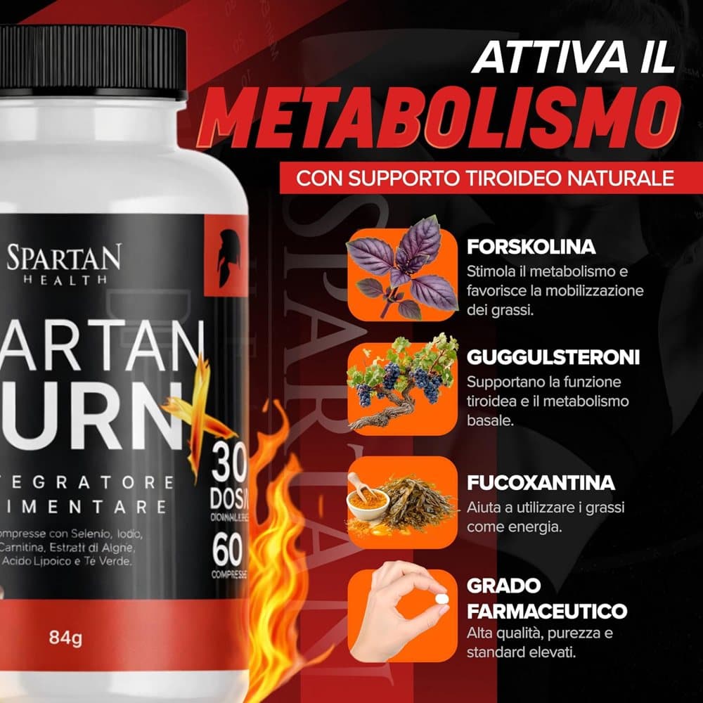 Thermogenic infographic with the four key ingredients